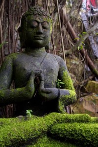Buddha from Borneo