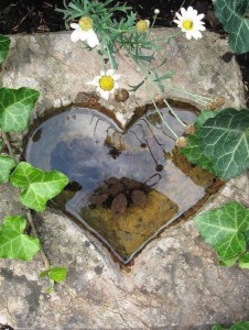 stone-heart-pond